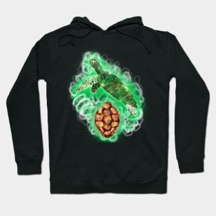 Spiritual Release-Turtle Hoodie